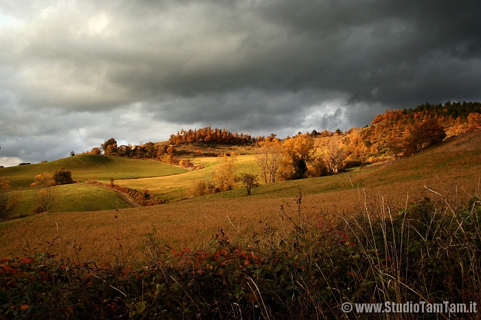 Colline di Castellaro.jpg